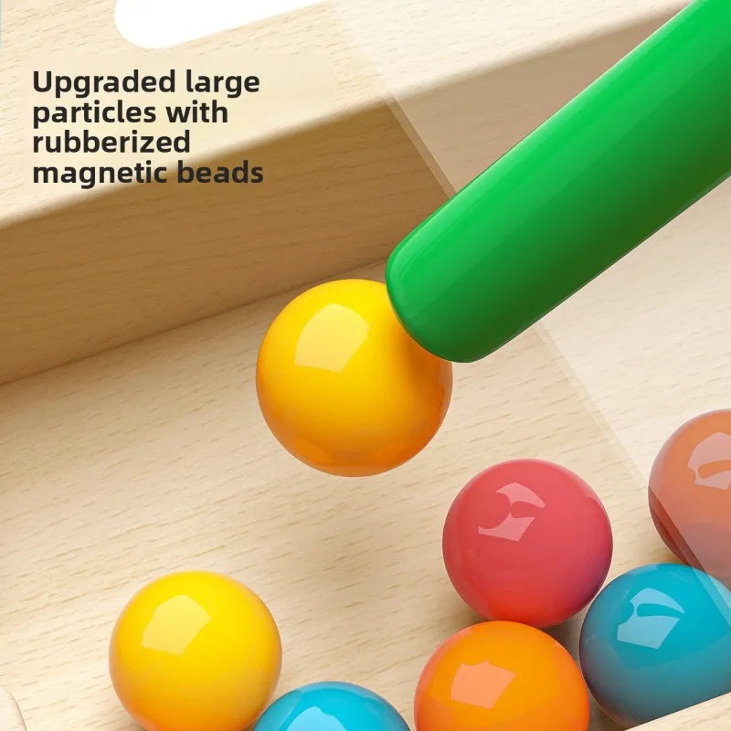 Magnetic Bead Maze & Color Sorting Board